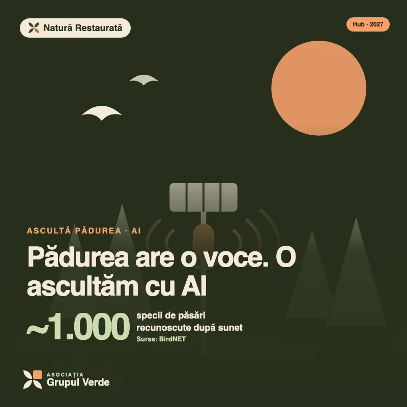 Ilustrație: Pădurea are o voce. O ascultăm cu AI — Natură Restaurată, Hubul de Inovație Verde